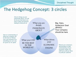 Jim Collins: Good to Great. Hedgehog concept 